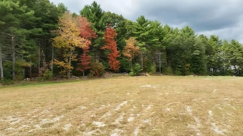 Escape outdoors and breathe in calm, tree-lined surroundings.