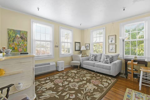 Living Area with AC. Windows, enters sunlight.
