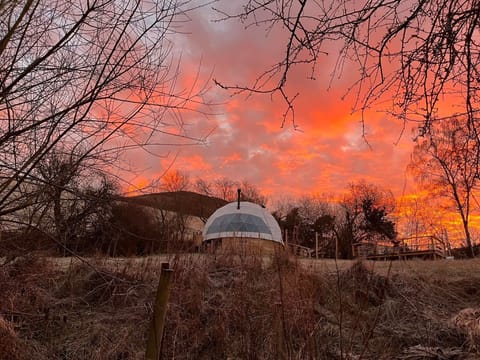 A frosty morning on the farm