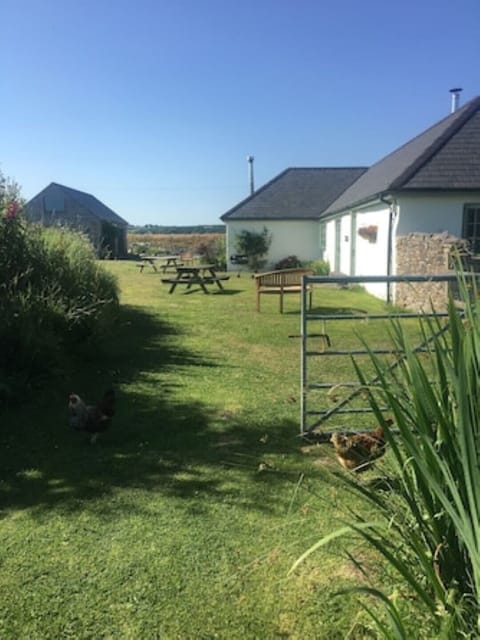 View of the Dog and Duck house 