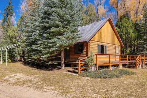 Orangeville Vacation Rental | 2BR | 1BA | Stairs Required | 1,000 Sq Ft