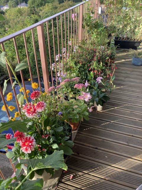 Front decking/balcony