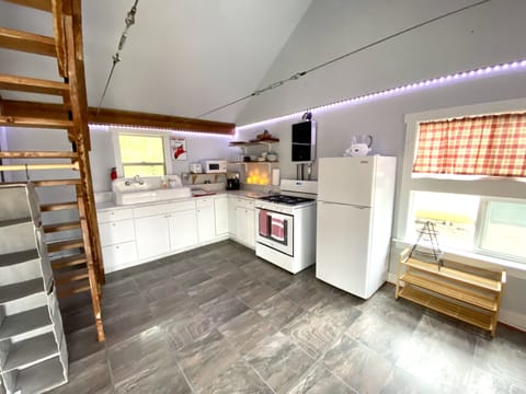 Kitchen area with antique sink