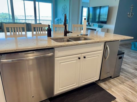 Ice Maker and Dishwasher