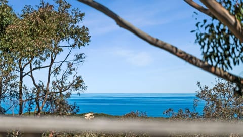 Great ocean view!