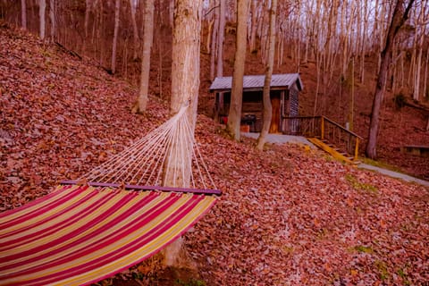Cabin View from Hammocks