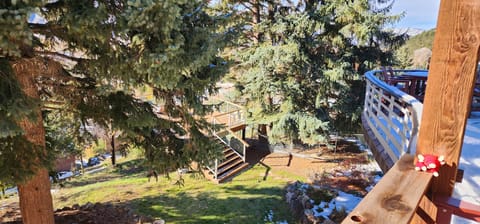 Back yard view from upper deck.