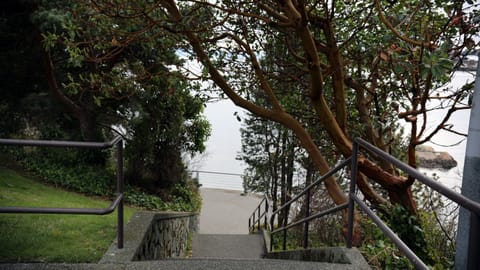 Steps from the front door - Ocean side