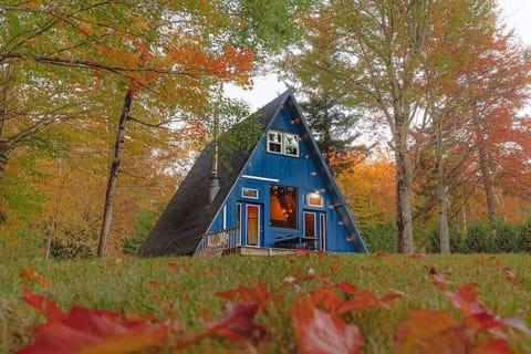 Welcome to the Alpine A-frame!