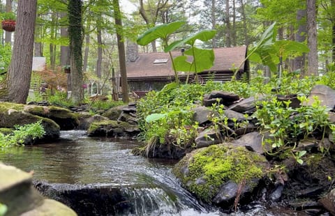 Beautiful surroundings, with a restful creek winding through the property.