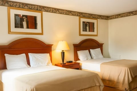 Relax together in a bright double-bed room with warm lighting.