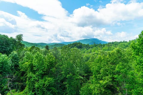 Grandfather Mountain View