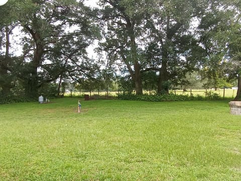 Private Backyard Very Quiet