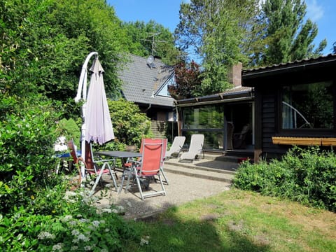 Plant, Building, Sky, Botany, Tree, House, Shade, Chair, Grass, Window