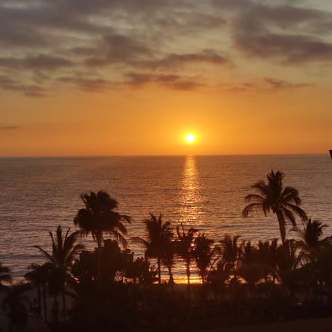 Beautiful view