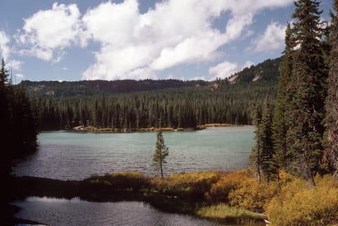 Escape to tranquil lakeside scenery just beyond the city.
