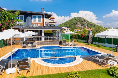 Beautiful villa with private pool, terrace, and garden