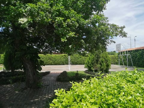 Sport court