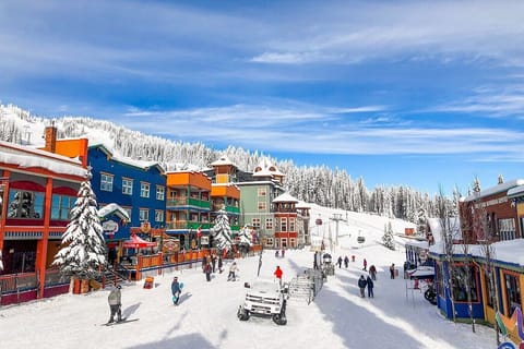 Silver Star Mountain Resort 20 minutes away.