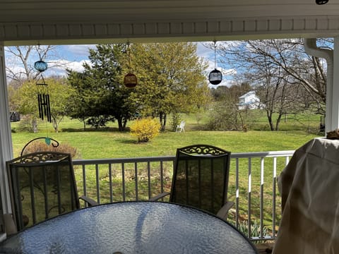 View of deck and backyard from the kitchen window.