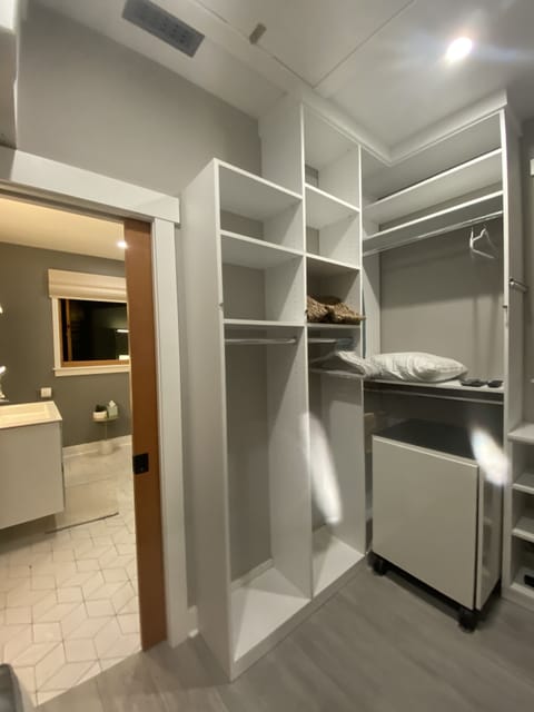 Sizable walk in closet with electronic audio system between bathroom and bedroom