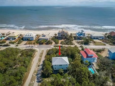 Sunshine State of Mind