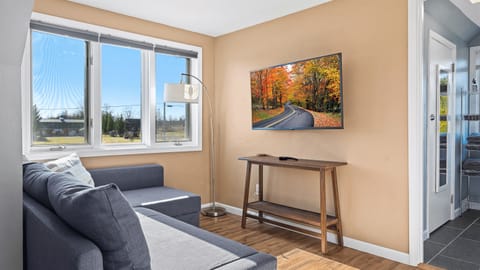 The living area with a sleeper sofa that accommodates extra guests.