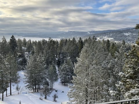 Winter wonderland 2 ski resorts in the area dinner