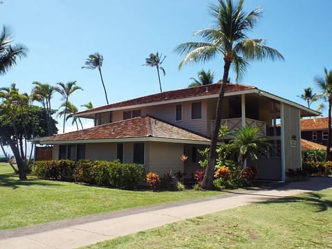 Arrive to lush tropical grounds and a breezy island building.