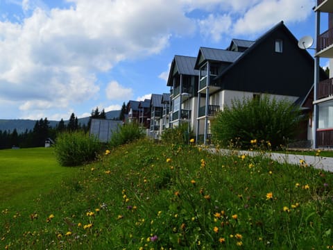 Cloud, Flower, Sky, Plant, Building, Window, Property, House, Tree, Land Lot