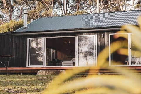 Seagrass on Sunset Bay