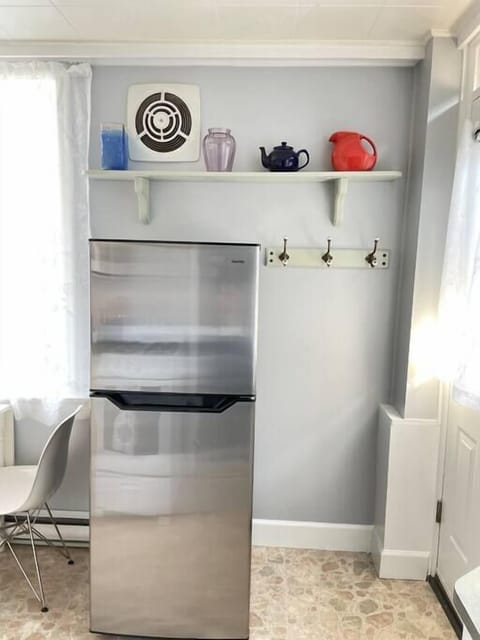 Fridge and coat hooks