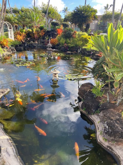 Pono Kai is a beautiful property. Rewarding just to walk it. Be sure you do!