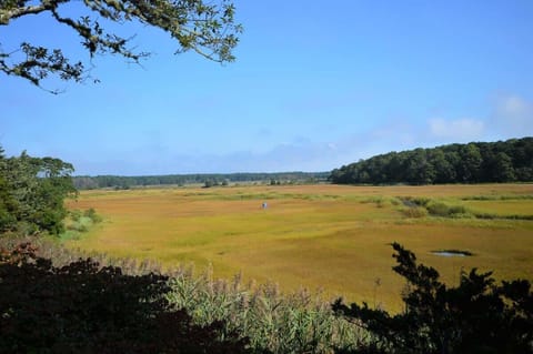 Beautiful view of Boat Meadow River off porch