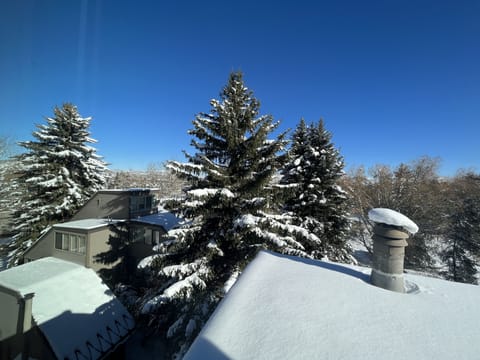 View from upstairs loft