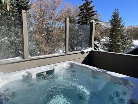 View from private hot tub 