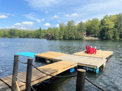 Dock upgrades for the 2025 season! New dock extension and a lily pad!