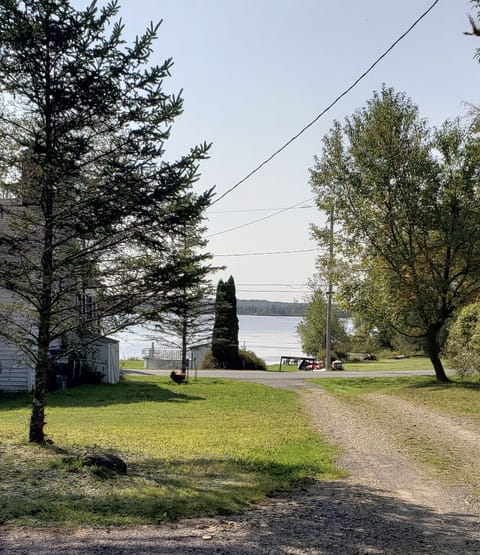 From our driveway to the lake