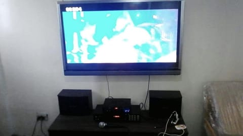 Television