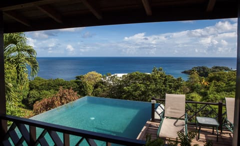Dive into your gorgeous infinity pool and soak up the sunshine.