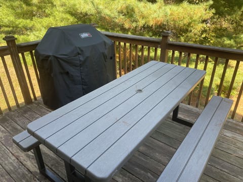 Grand Meadow Bbq Area 2