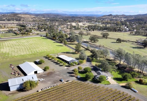 Entire vineyard estate home near Langtry and Harbin
