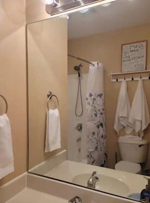 Comfortable bathroom with shower, tub, toilet and towel sets for each visitor.