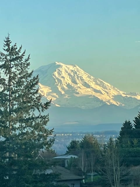 View of Mt. Rainier from the space