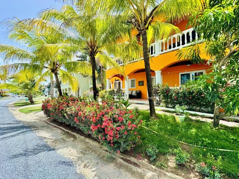 Caribbean Dream (1)
