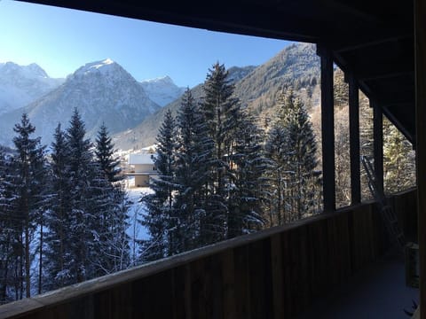 Bike 'n' Board Lodge Brandnertal - Appartement Apartment in Brand