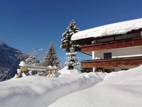 Ferienhaus Zech - Ferienhaus Apartment in Vorarlberg, Austria