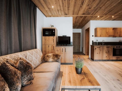 Arbnora - Rufana Alpin Apartment in Bürserberg