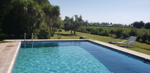 Pool by the vineyard