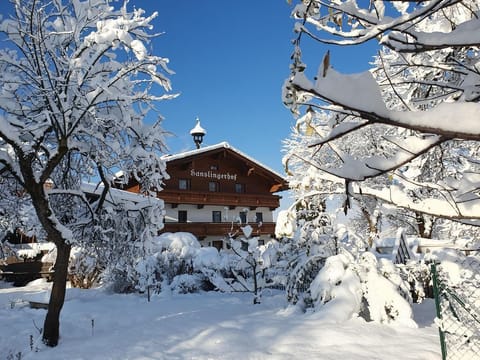 Hanslingerhof Farm - Holiday apartment 3 Farm Stay in Salzburgerland